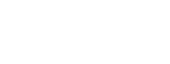 Precision Hoses Logo